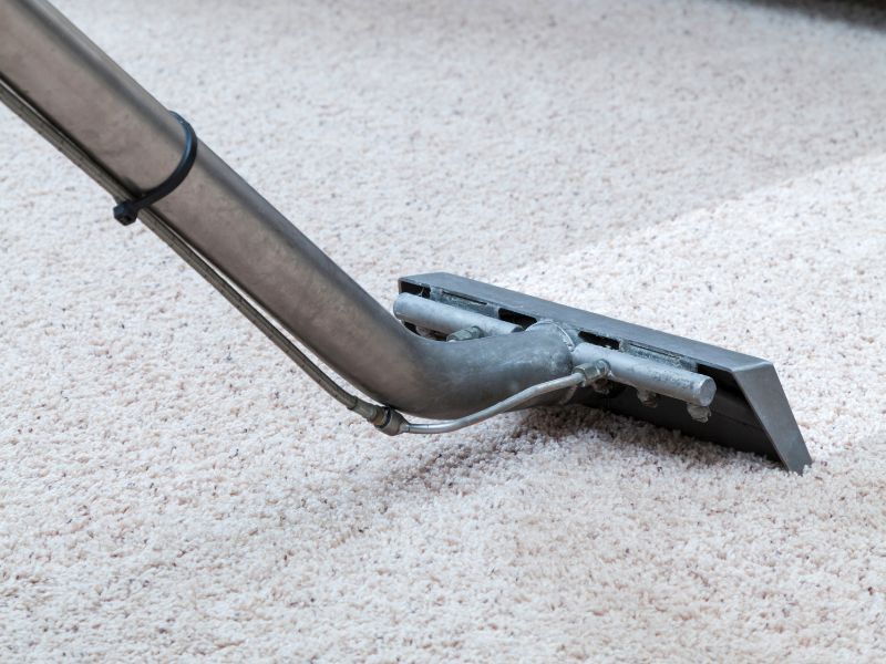 wp-content/uploads/professional-carpet-steam-cleaning-longview-and-kelso-wa.jpg