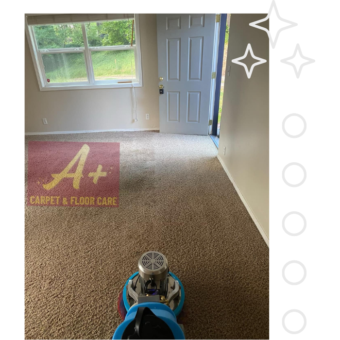 Carpet Cleaning in Vader WA