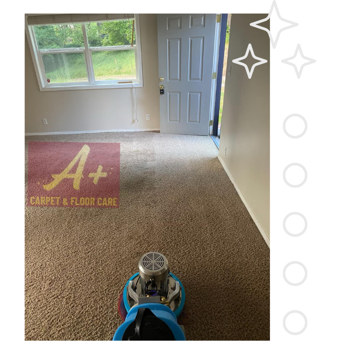 Carpet Cleaning in Kelso WA