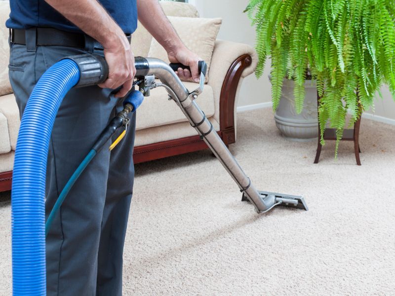 wp-content/uploads/professional-carpet-cleaning-versus-home-machine-cleaning.jpg