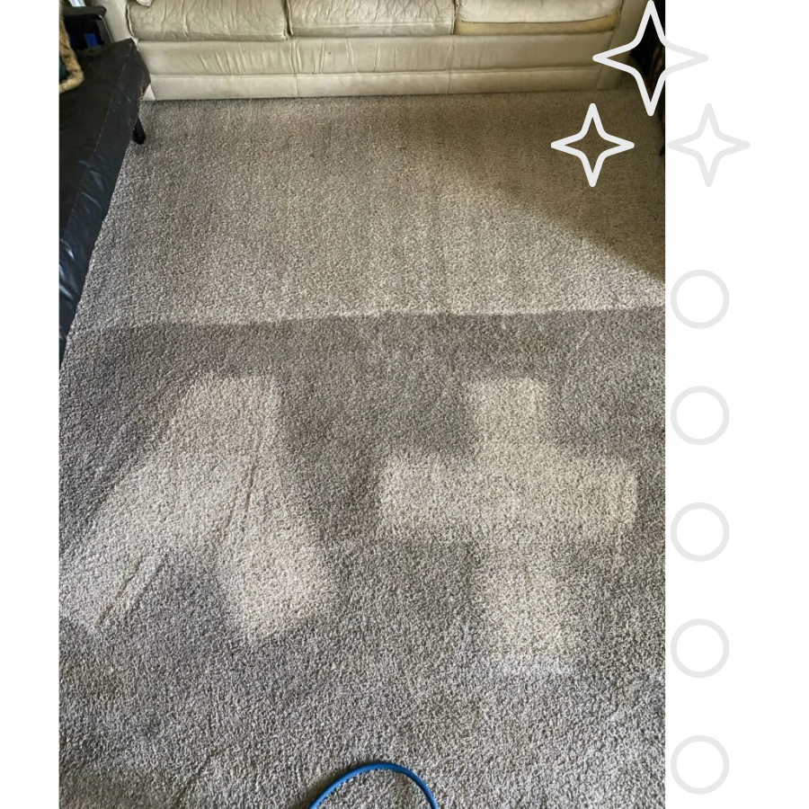 Affordable Carpet Cleaning