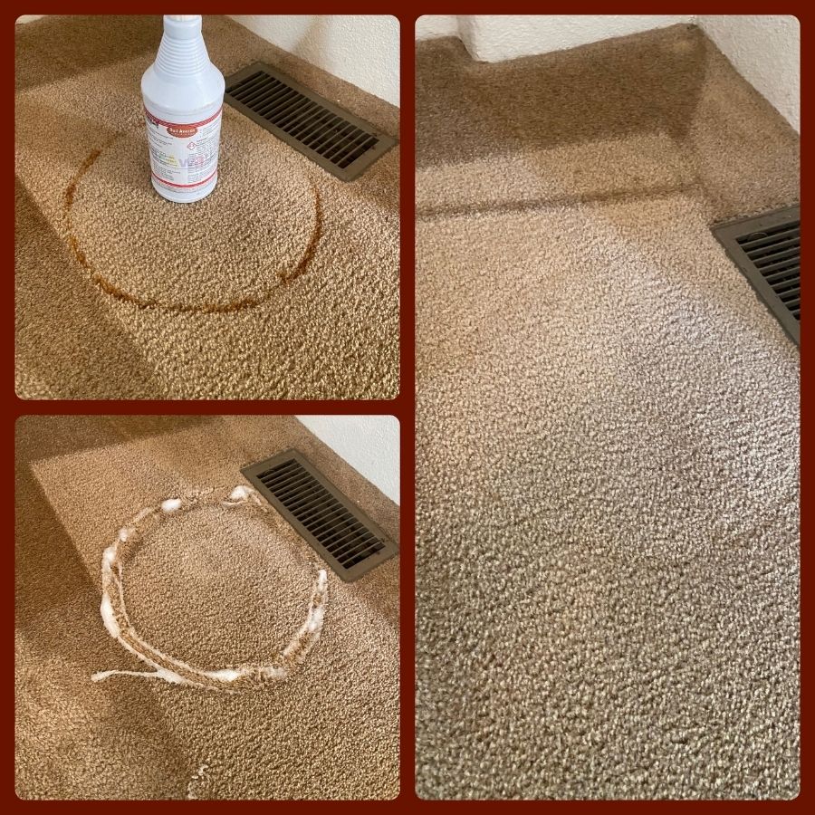 Affordable Carpet Cleaning Near You 1