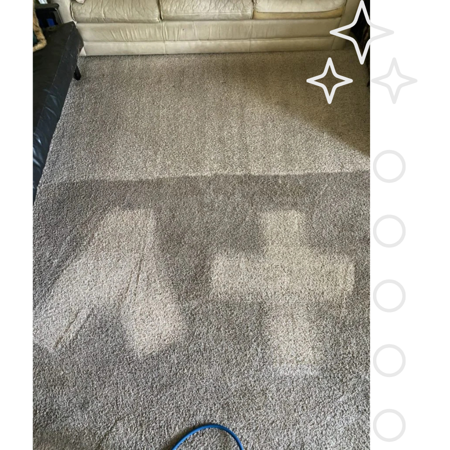 Affordable Carpet Cleaning