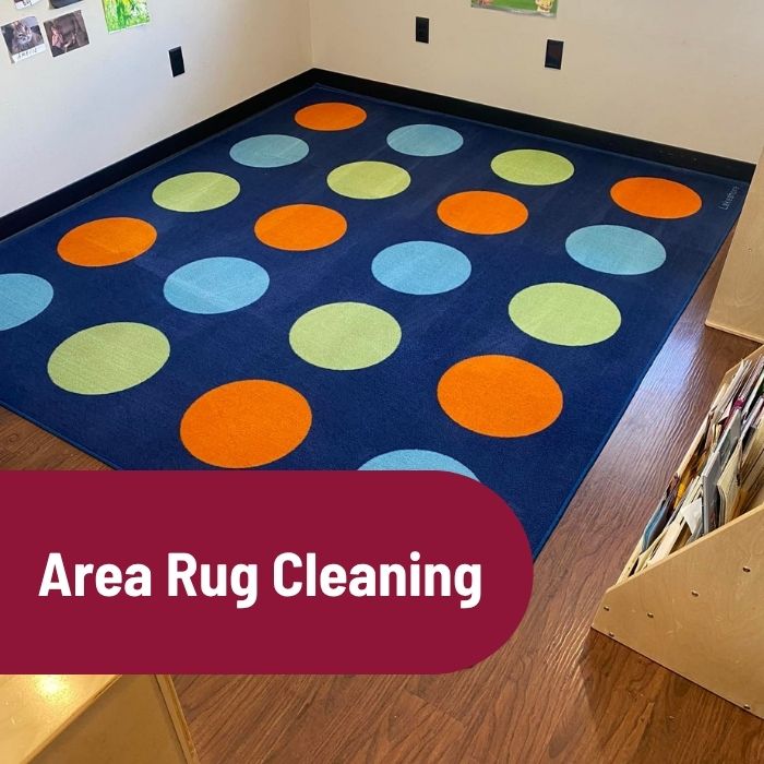 Area Rug cleaning Service
