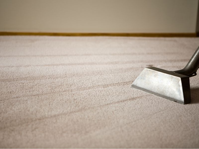 Carpet Cleaning
