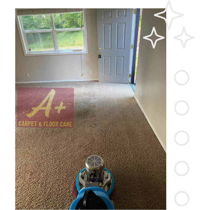 Carpet Cleaning in Carrolls WA