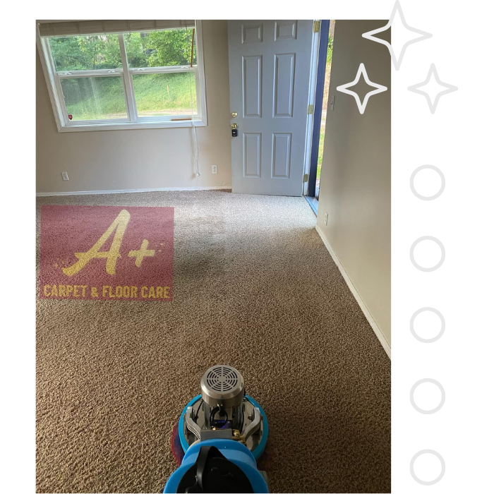 Carpet Cleaning in Ryderwood WA