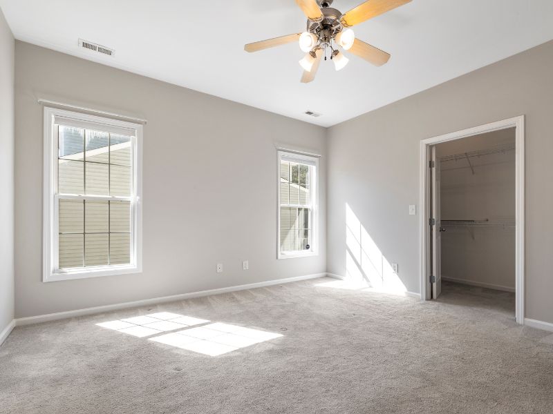 Carpet Cleaning Tips