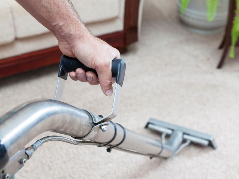 Carpet Cleaning