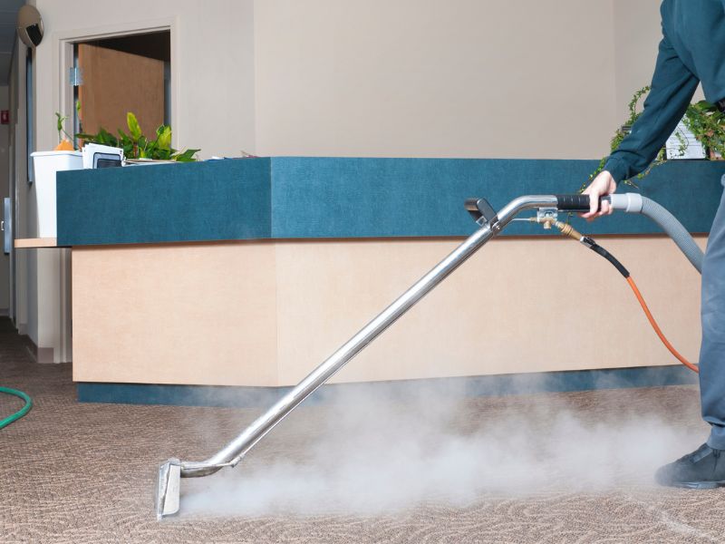 Summer / fall carpet cleaning