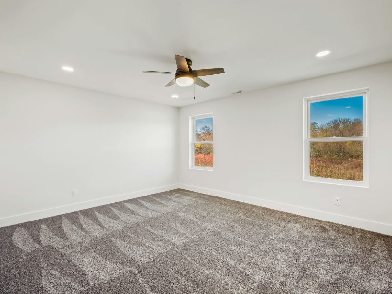 Top 10 Carpet Care Tips