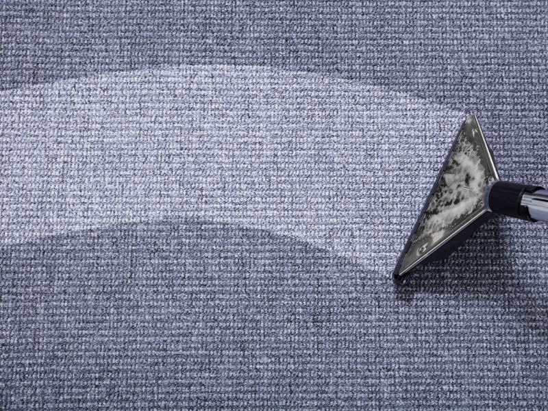 why your carpets need professional cleaning
